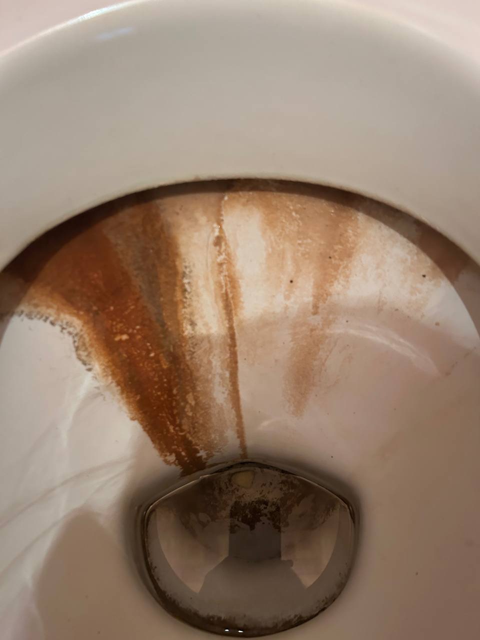 Белая Перчатка — специалисты по очистке запущенных квартир - Услуги в Белгородская область - фото 7