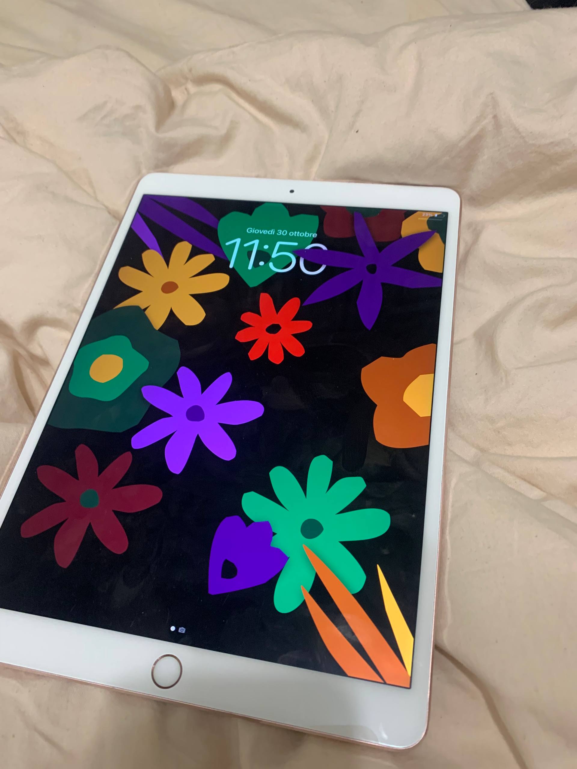 iPad Pro 10.5 Wi-Fi второго поколения - частное объявление в Екатеринбург