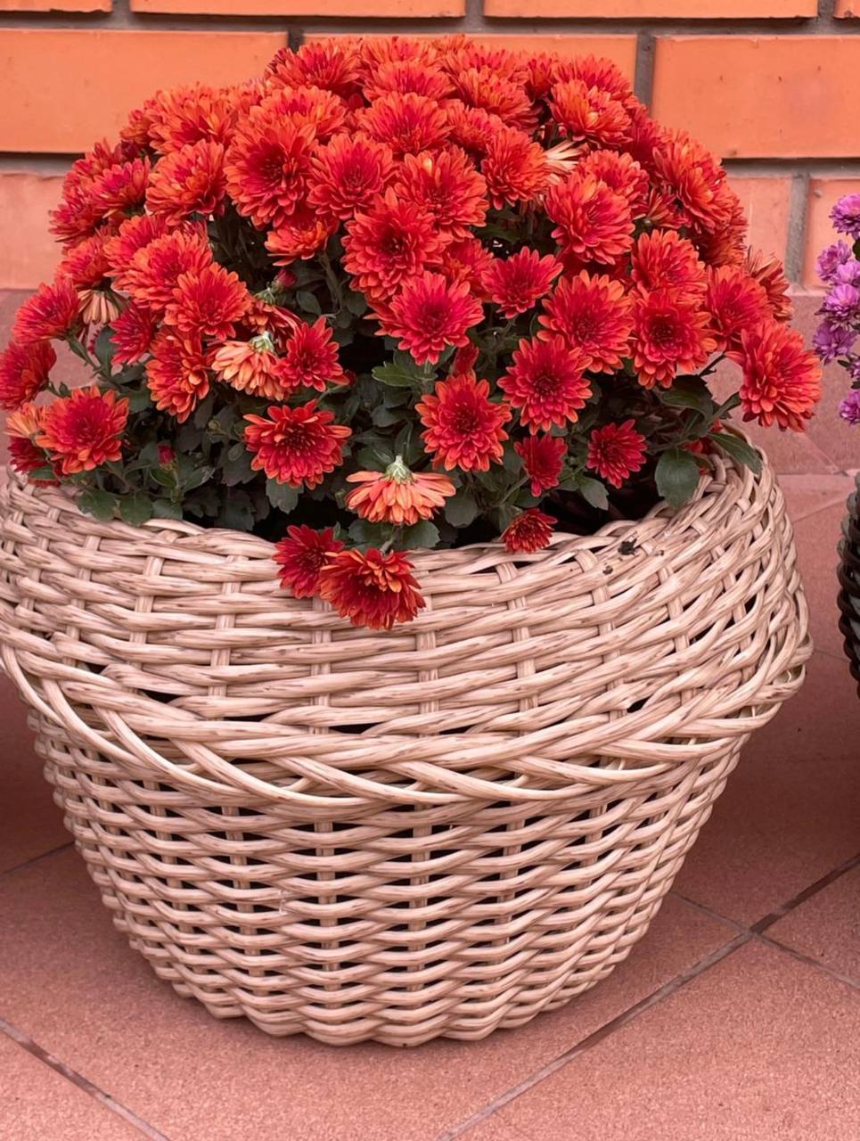 Кашпо из ротанга ручной работы - Для дома и дачи в Оренбург