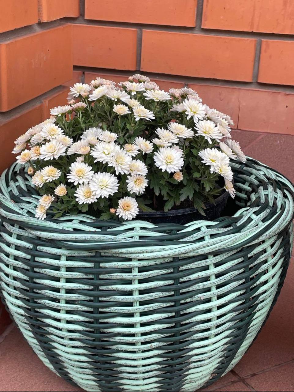 Кашпо из ротанга ручной работы - Для дома и дачи в Оренбург - фото 4