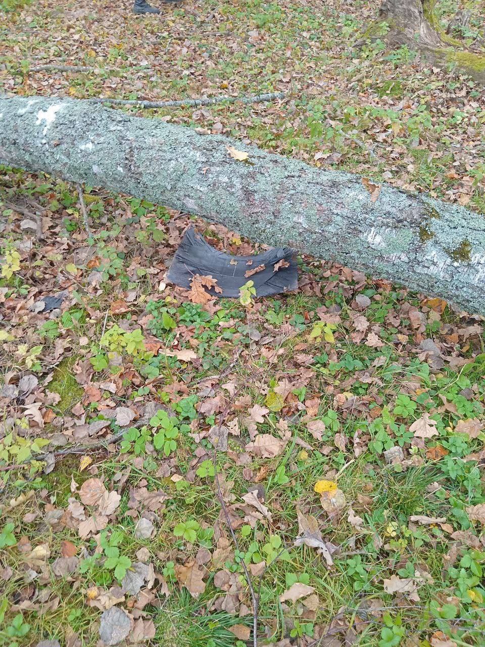 Фламинго расчет Панциря - Разное в Новокузнецк - фото 2