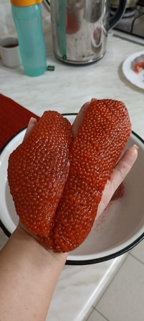 Привоз свежевыловленной форели в Краснодар - частное объявление в Краснодар