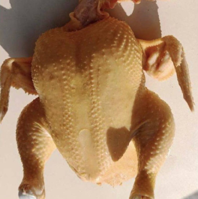 Доска объявлений Ростова-на-Дону Соловьиная роща - Услуги в Ростов-на-Дону