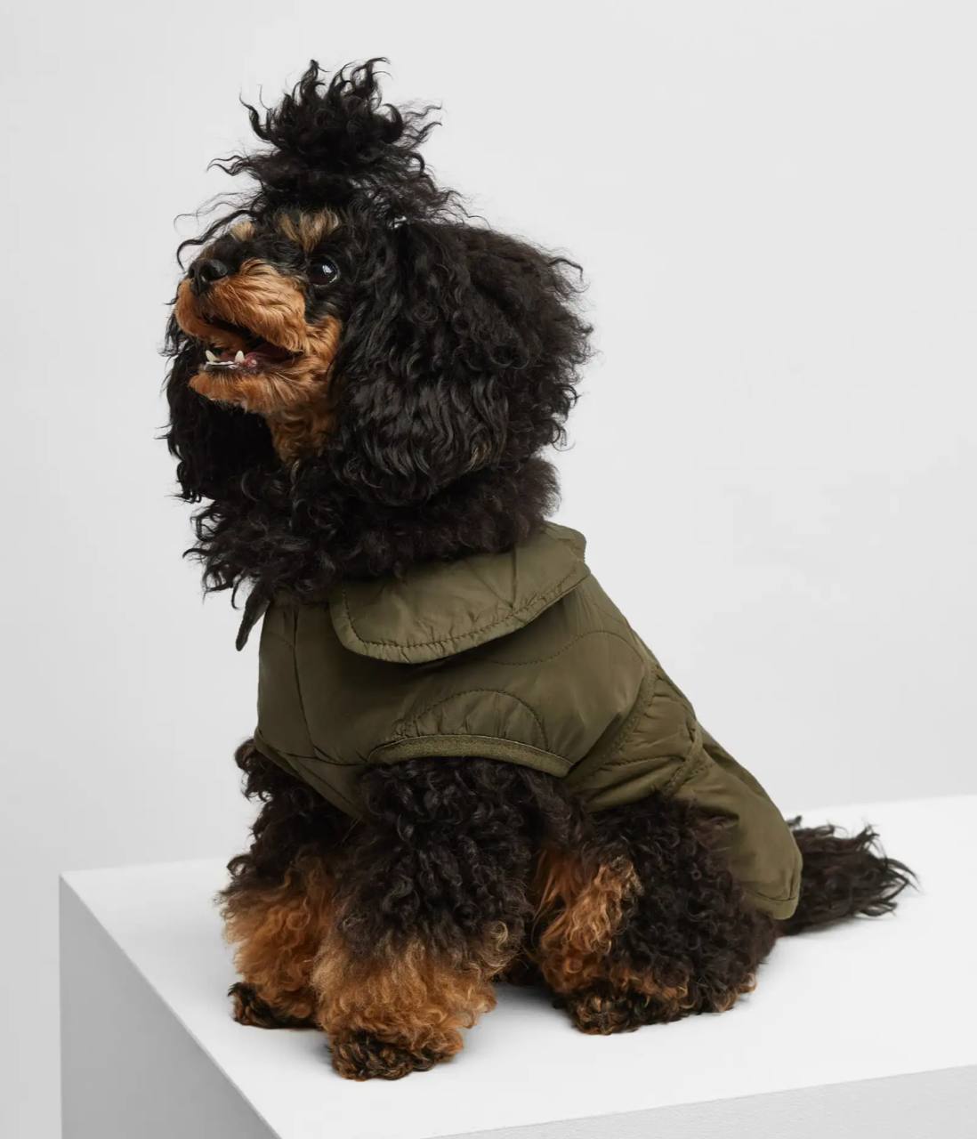 Продам жилет XL - Одежда в Мытищи