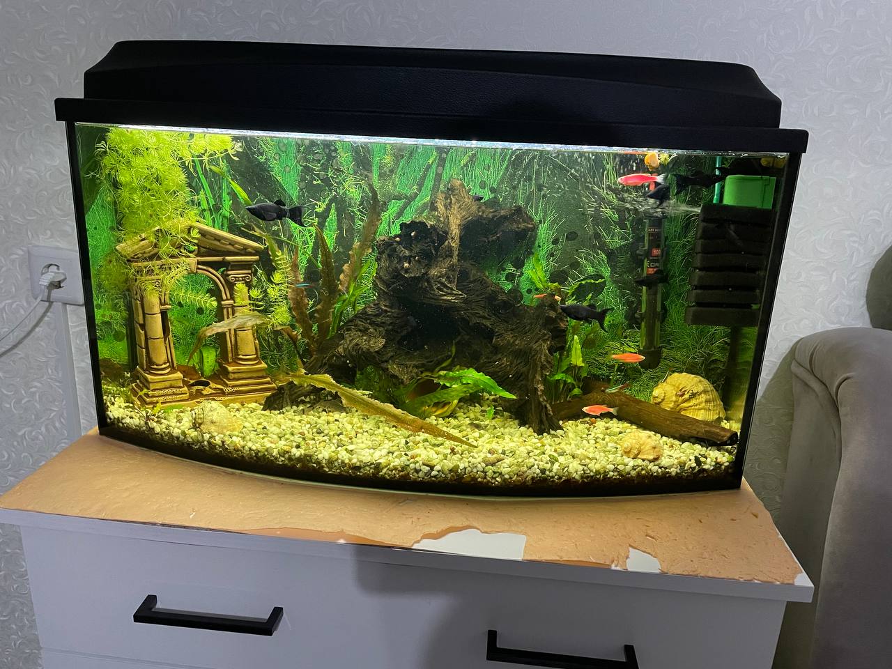 Аквариум с крышкой 75 литров - Животные в Железногорск