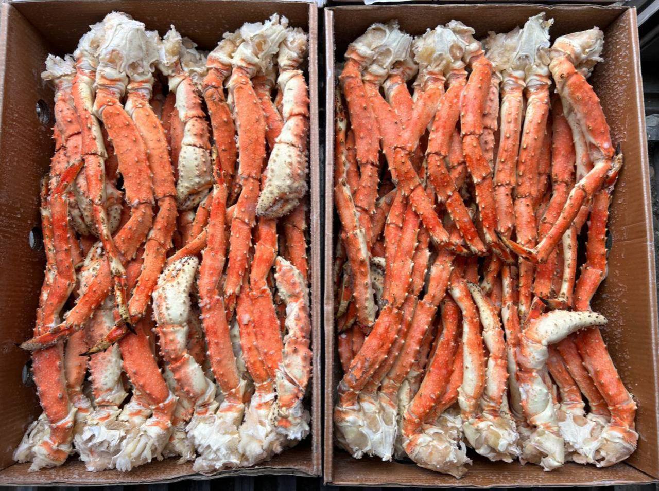 Икра и морепродукты с доставкой по РФ - Хобби и отдых в Брянск - фото 4