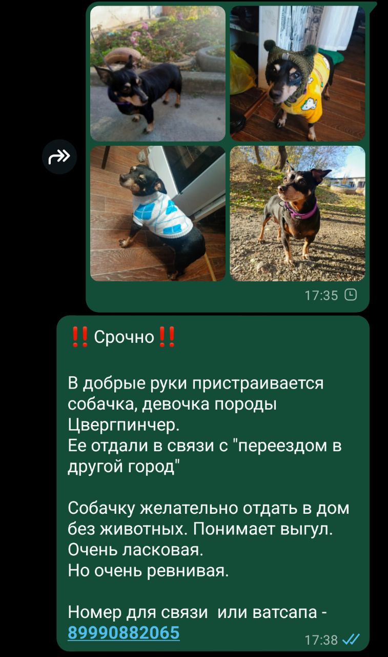 Барахолка ХАБАРОВСК - Услуги в Хабаровск