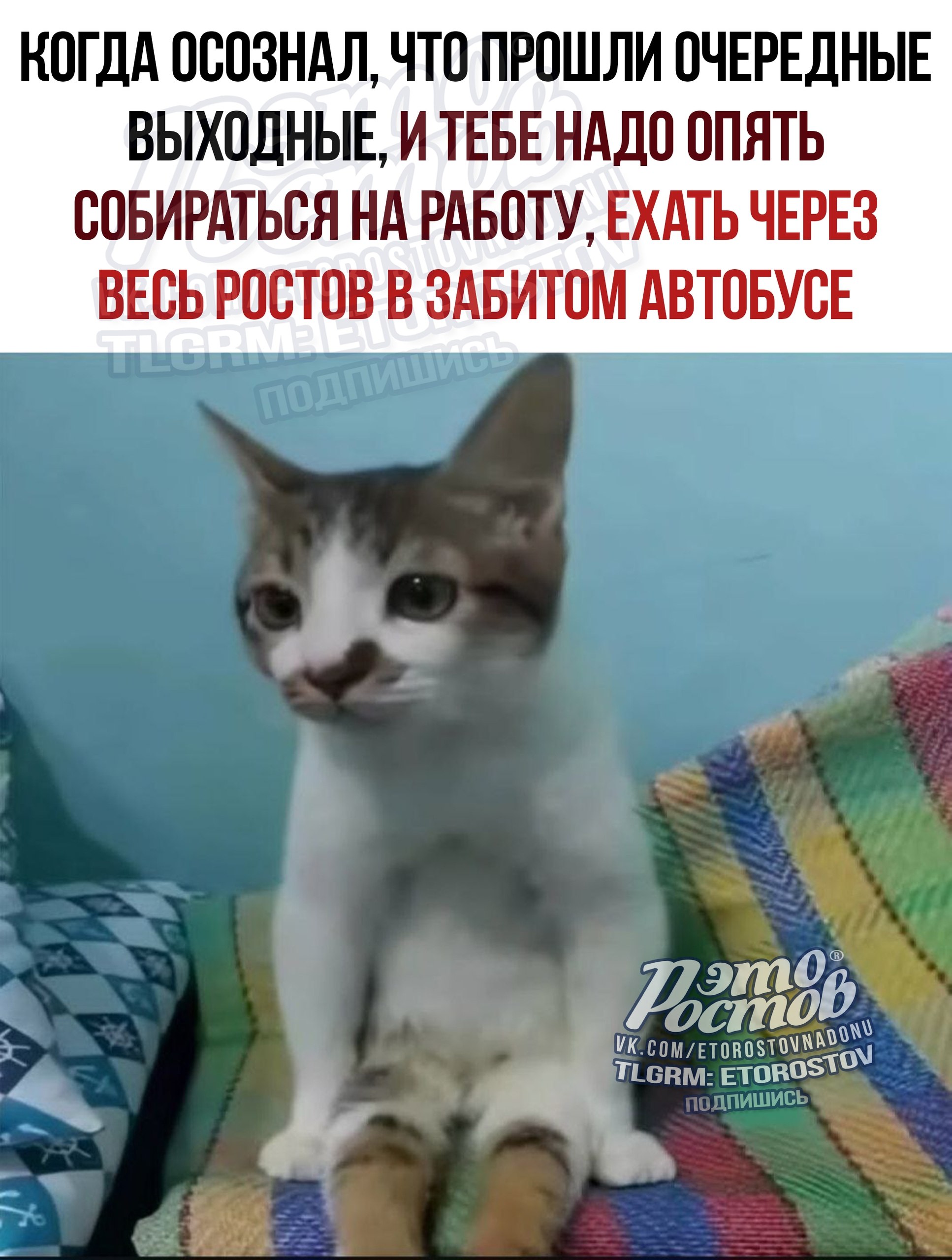 Ростов-на-Дону Барахолка | Реклама - Услуги в Ростов-на-Дону