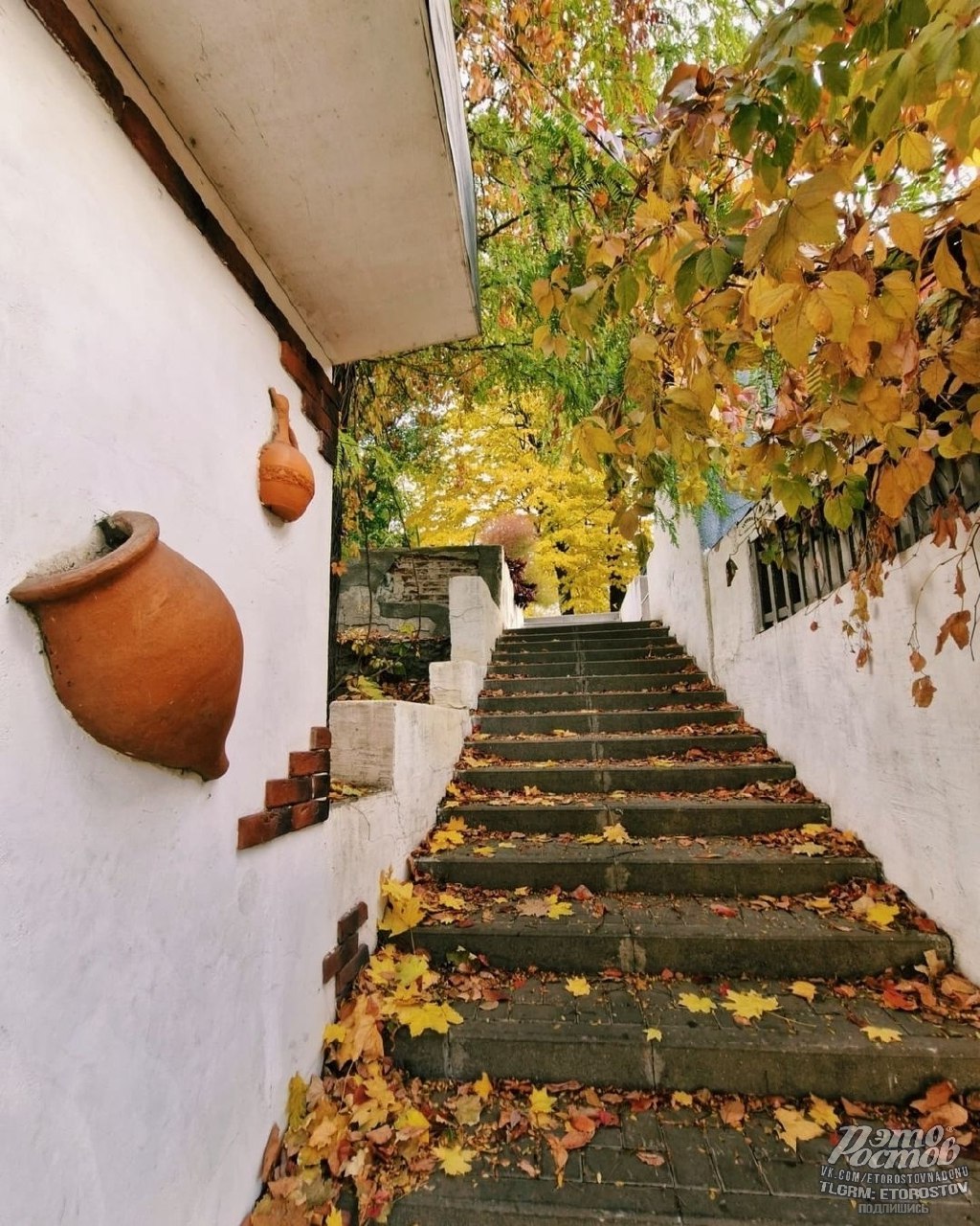 Осень - последняя, самая восхитительная улыбка года - Хобби и отдых в Ростов-на-Дону - фото 2