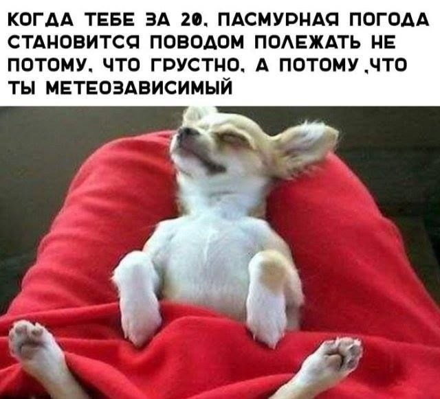 Метеозависимым россиянам хотят разрешить не ходить на работу - Работа в Ростов-на-Дону