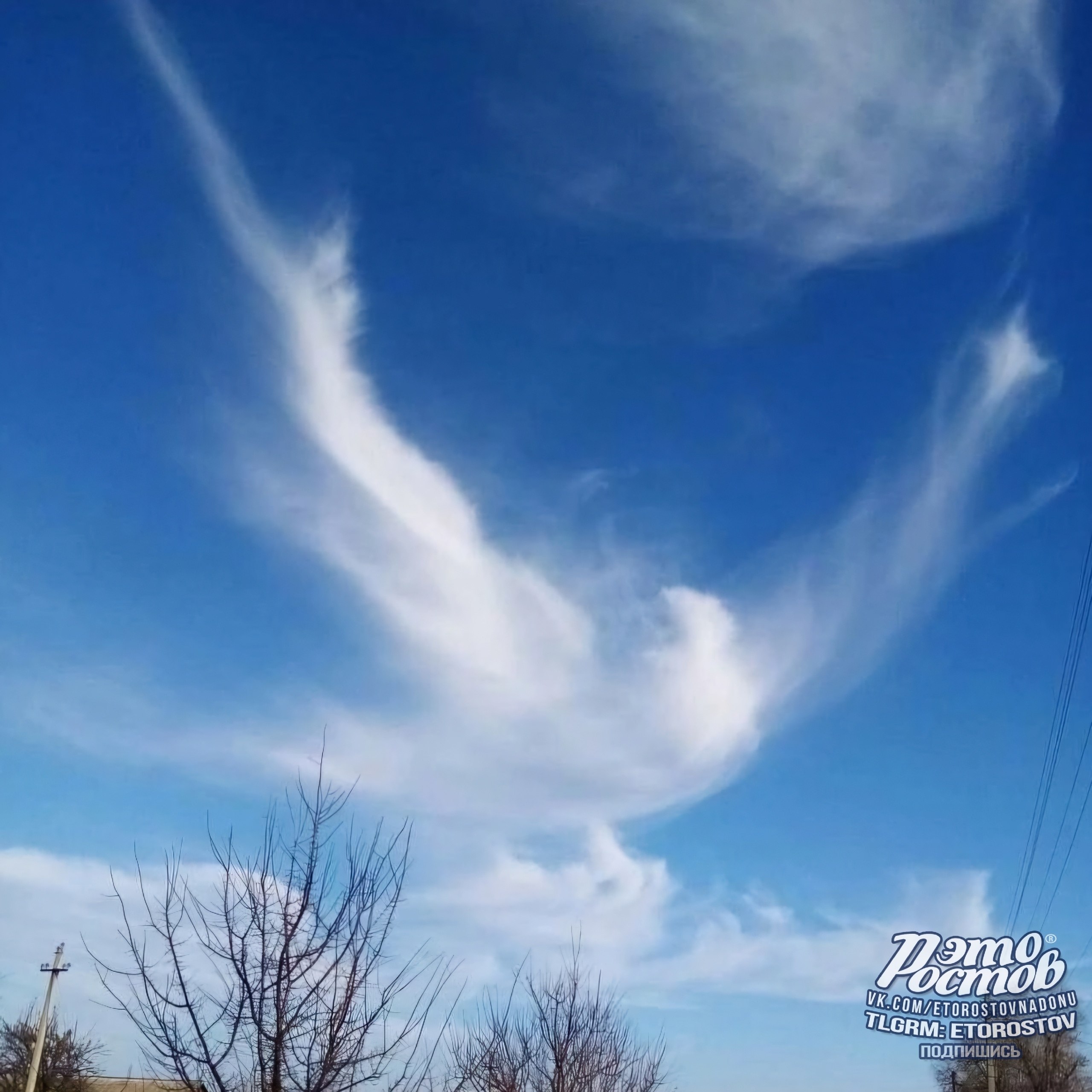 Удивительное облако в виде голубя - Хобби и отдых в Ростов-на-Дону