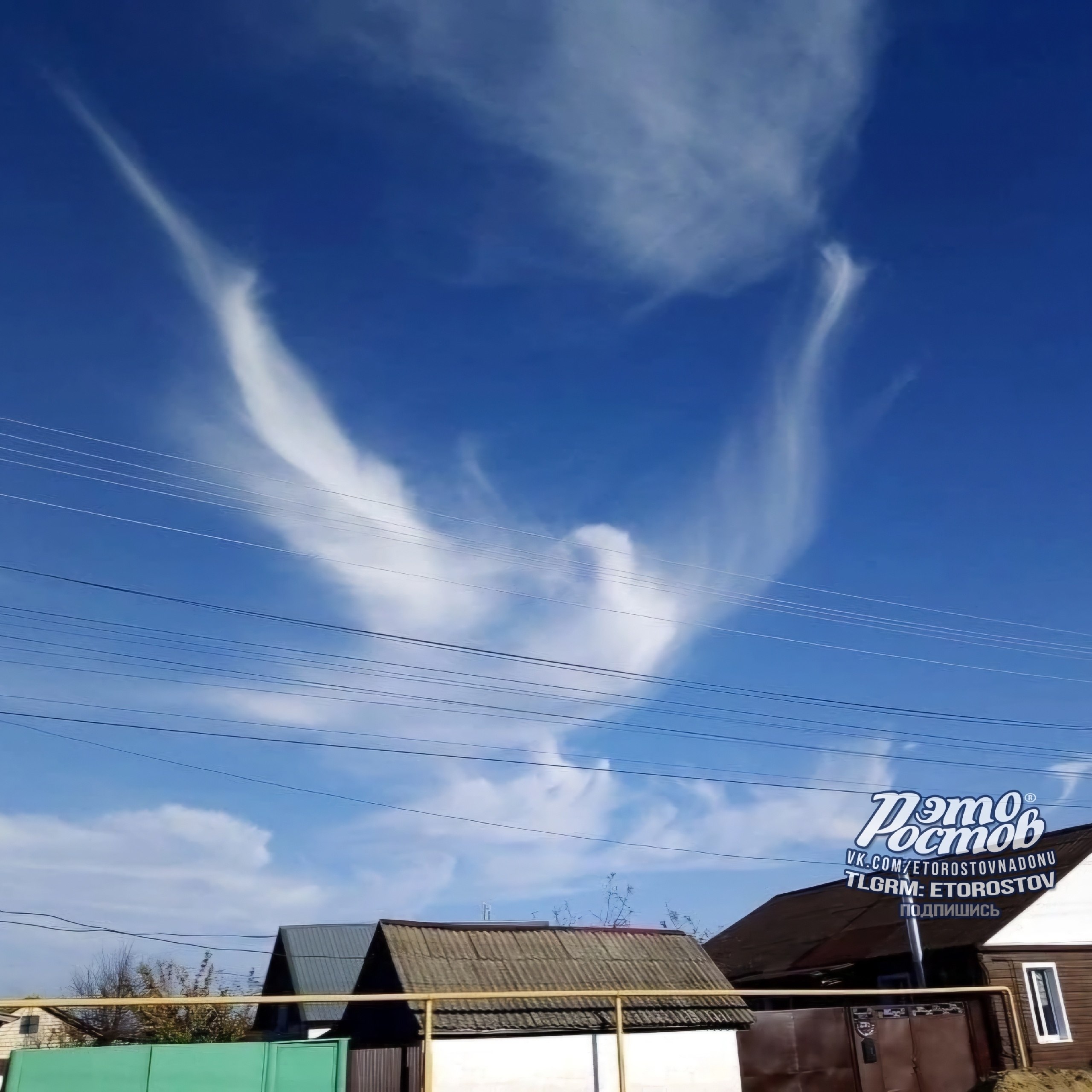 Удивительное облако в виде голубя - Хобби и отдых в Ростов-на-Дону - фото 2