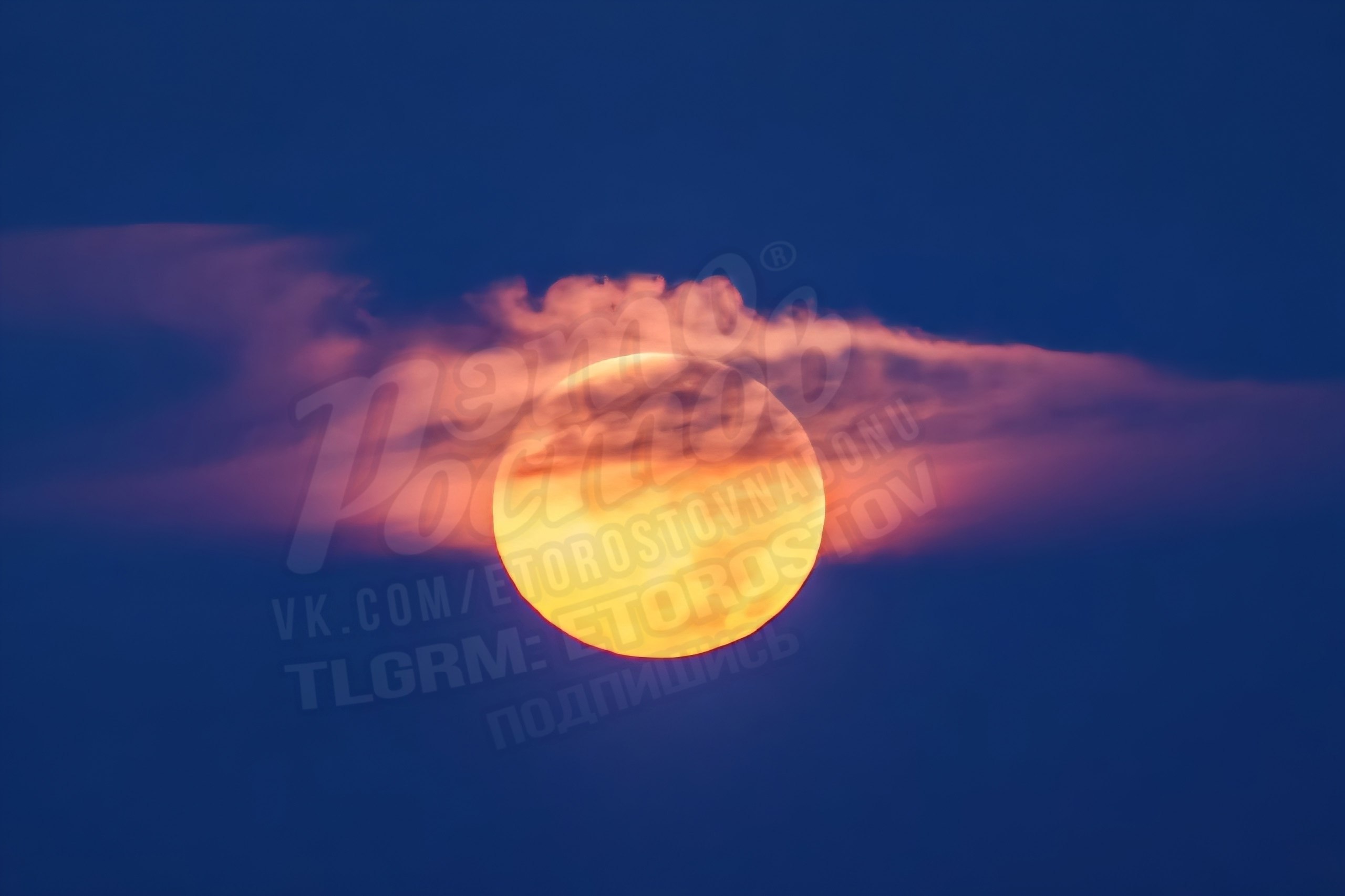 Бобровая Луна в шляпке - Хобби и отдых в Ростов-на-Дону