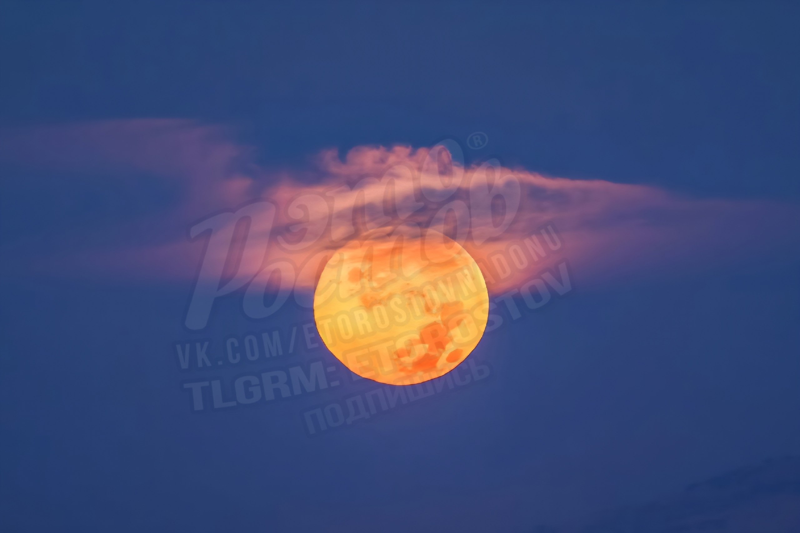 Бобровая Луна в шляпке - Хобби и отдых в Ростов-на-Дону - фото 2