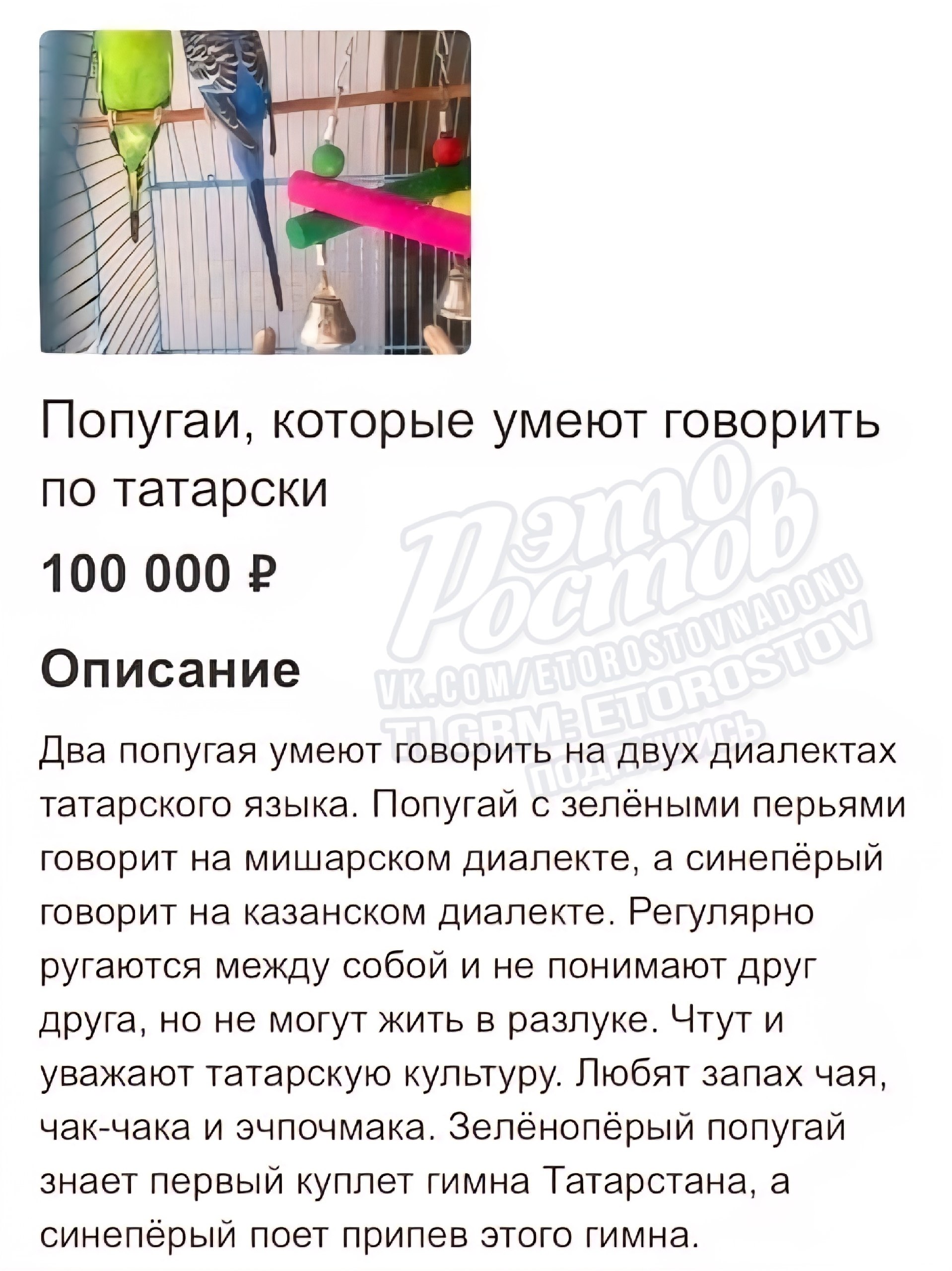 Больше никаких импульсивных покупок - Хобби и отдых в Ростов-на-Дону