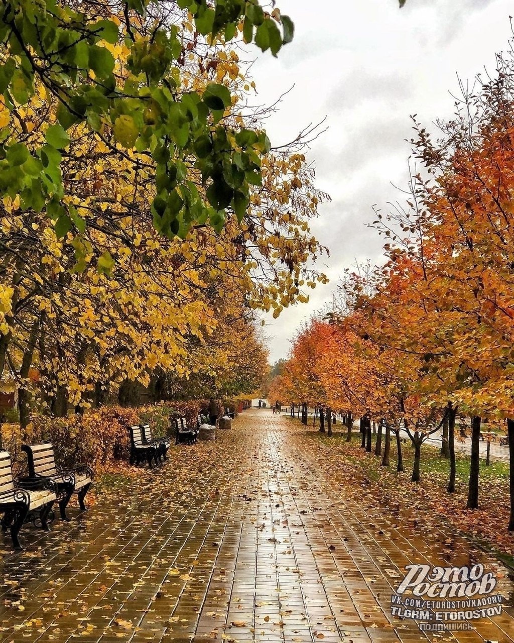 Осенний парк Плевен во время дождя - Хобби и отдых в Ростов-на-Дону