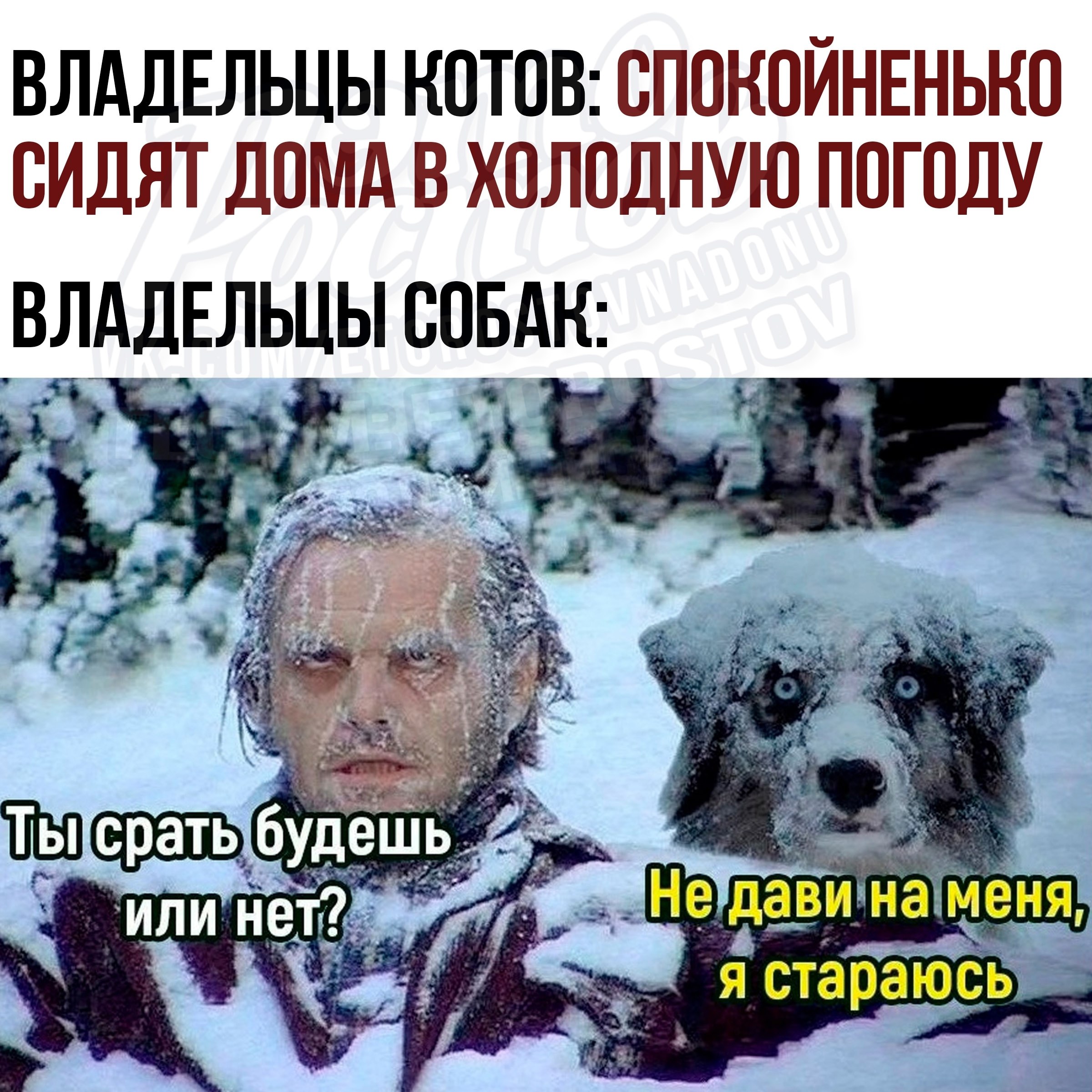 Ростов-на-Дону Барахолка | Реклама - Услуги в Ростов-на-Дону