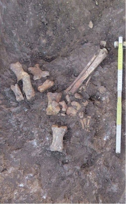 Древние курганы исследованы в Суворовском - Хобби и отдых в Ростов-на-Дону