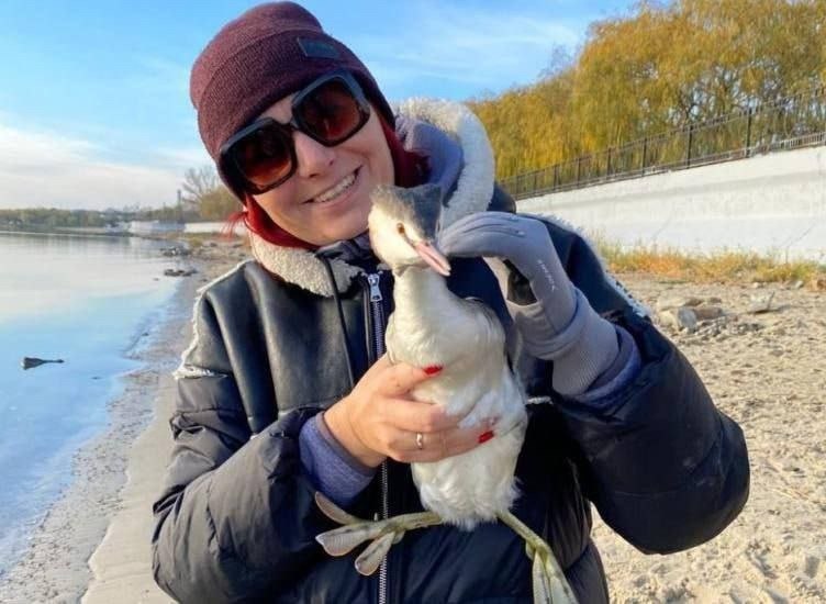 Спасение птицы в Таганроге - Животные в Таганрог