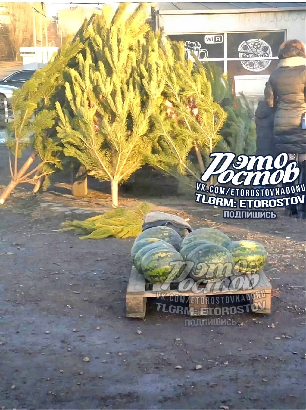 Ростов-на-Дону Барахолка - Хобби и отдых в Ростов-на-Дону