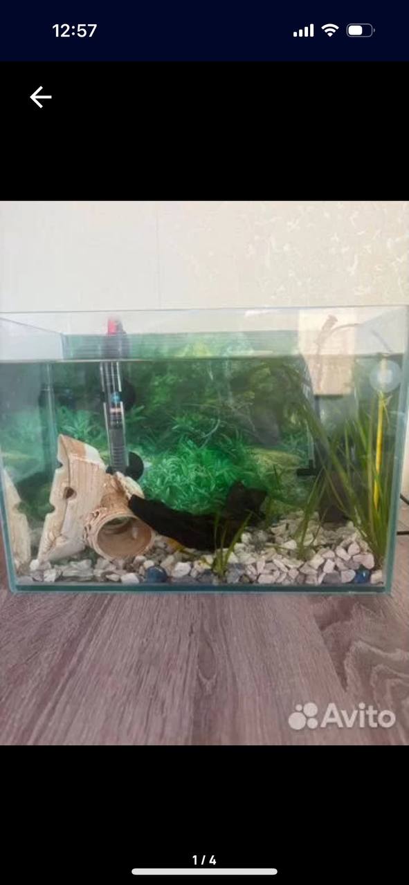 Барахолка Ставрополь - Хобби и отдых в Ставрополь - фото 4