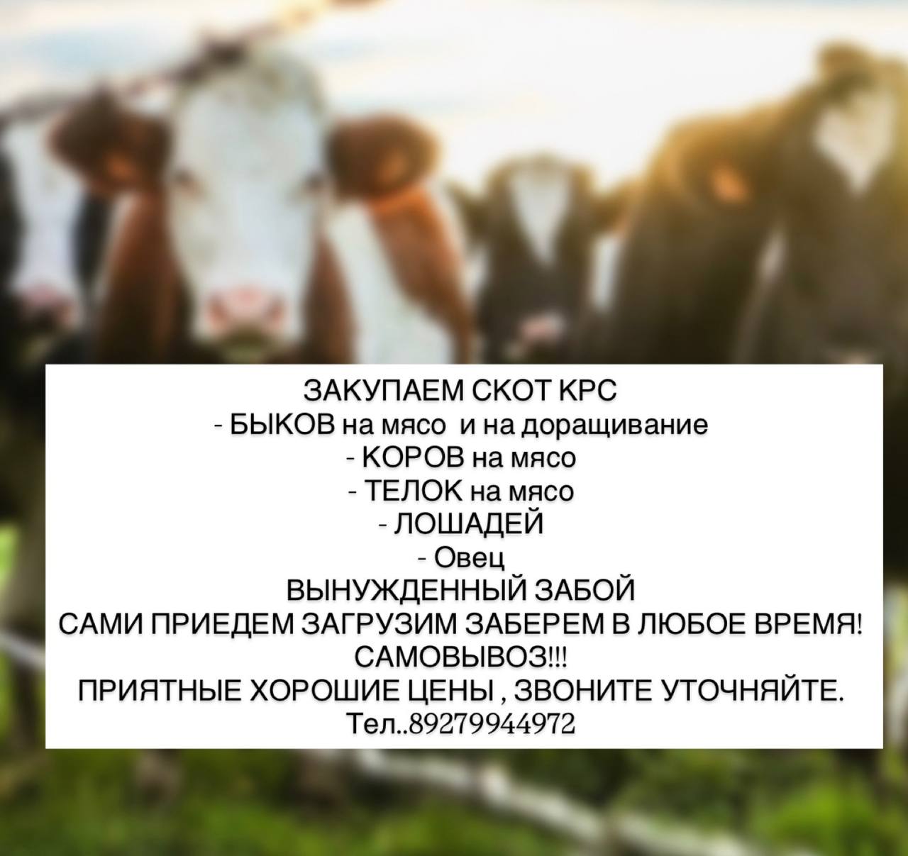 Барахолка Чебоксары - частное объявление в Чебоксары