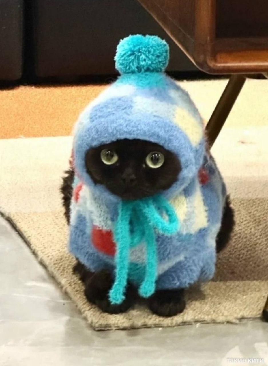 Шахты Барахолка - Хобби и отдых в Шахты