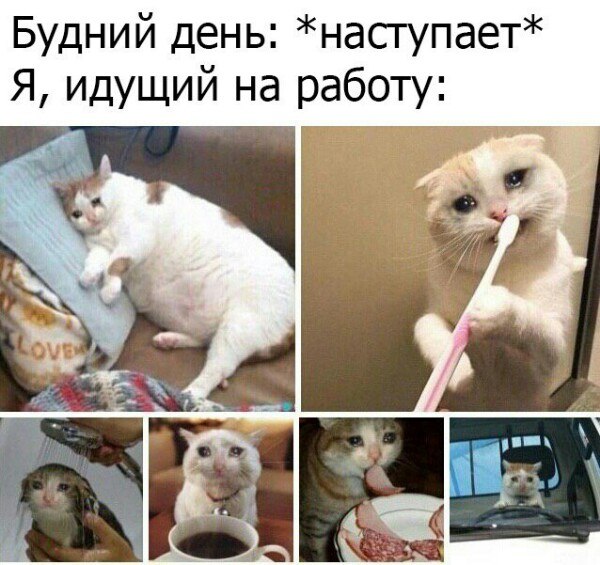 Шахты Барахолка - Хобби и отдых в Шахты