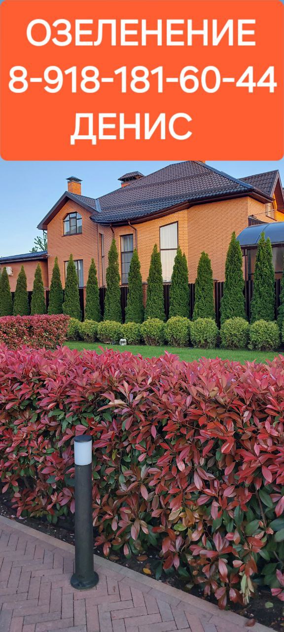 Объявление от Дениса - частное объявление в Краснодар