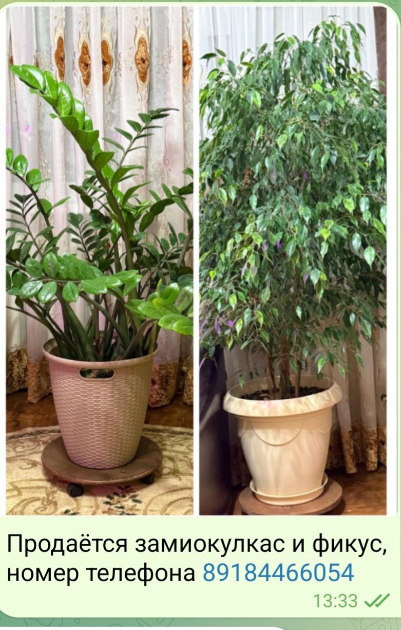 Продажа автомобиля - Авто в Медведовская - фото 1