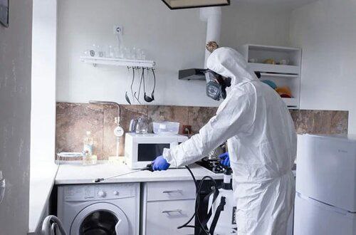 Услуги частного мастера дезинфектора - частное объявление в Краснодар