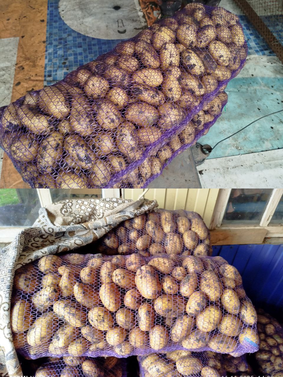 Продам картофель Королева Анна - частное объявление в Краснодар