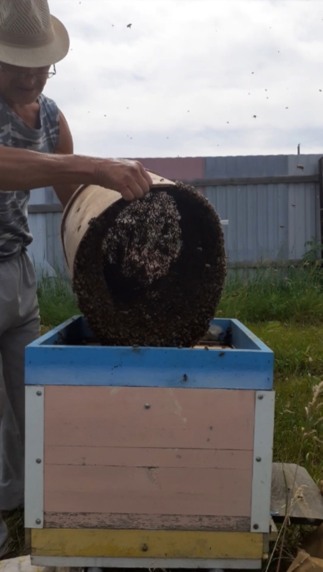 Продам таёжный мёд - Хобби и отдых в Рыбинск