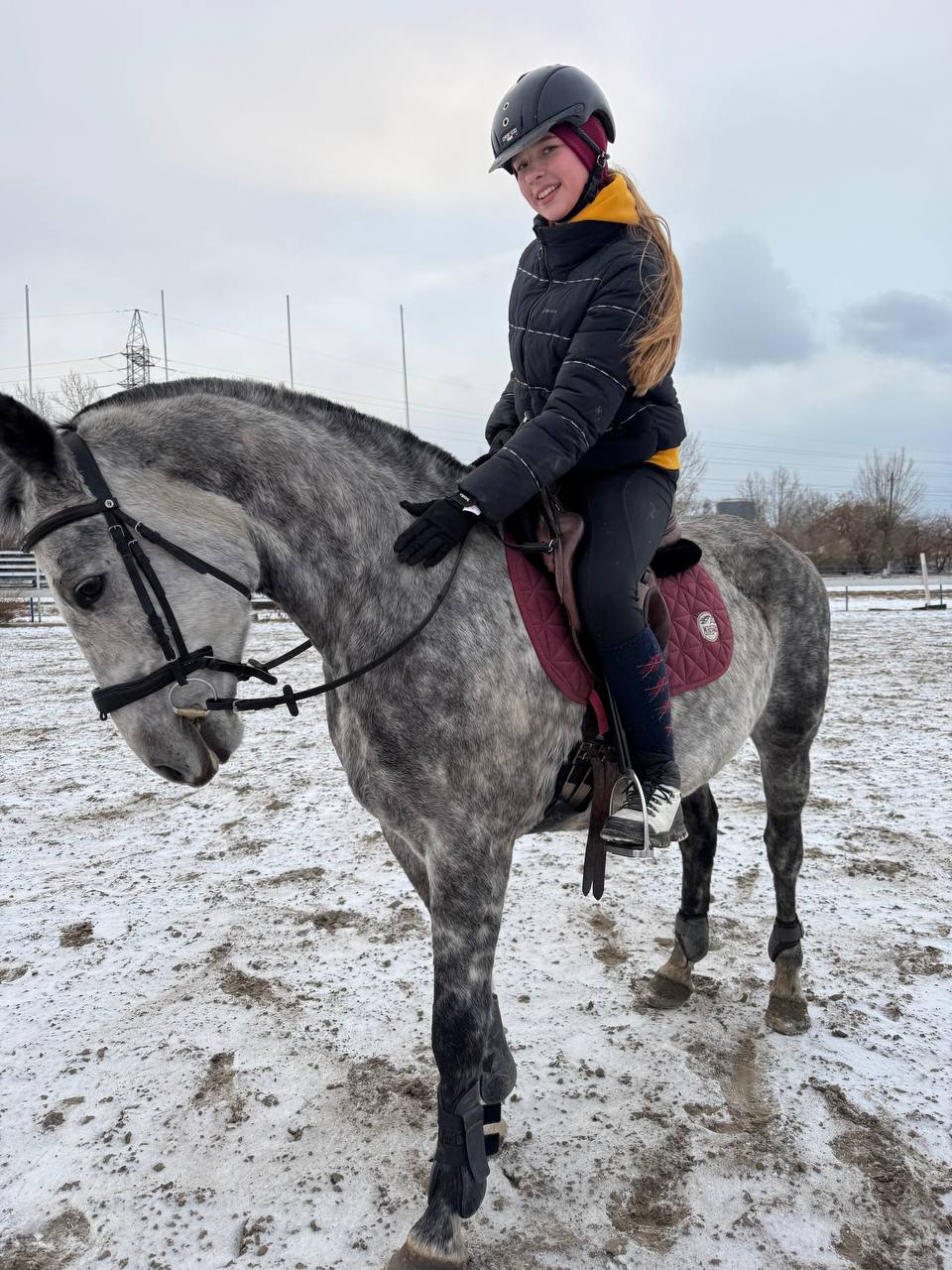 Конный спорт в Красноярске - частное объявление в Красноярск