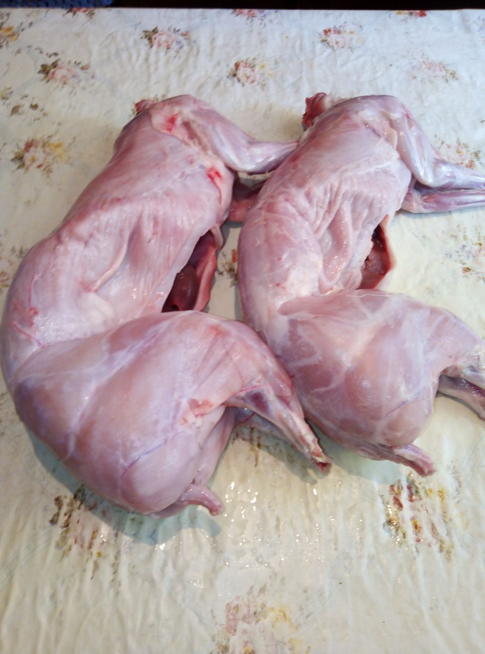 Продам мясо молодых кроликов - Животные в Красноярск