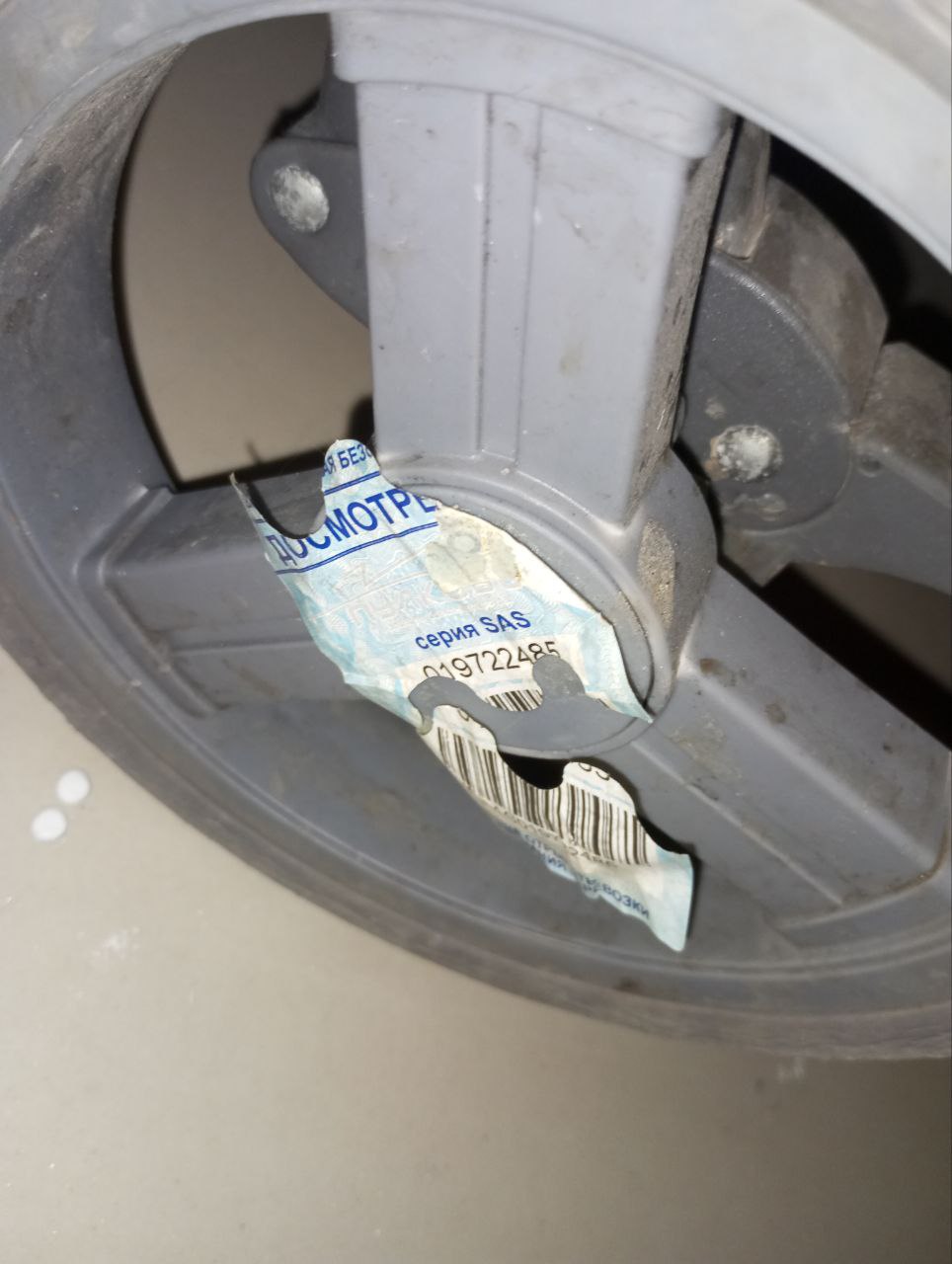 Продаю САО - Животные в Москва - фото 5