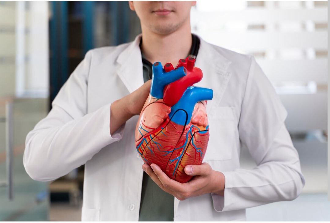 УЗИ сердца в ЛДЦ Доктор Айболит - Услуги в Новоаннинский