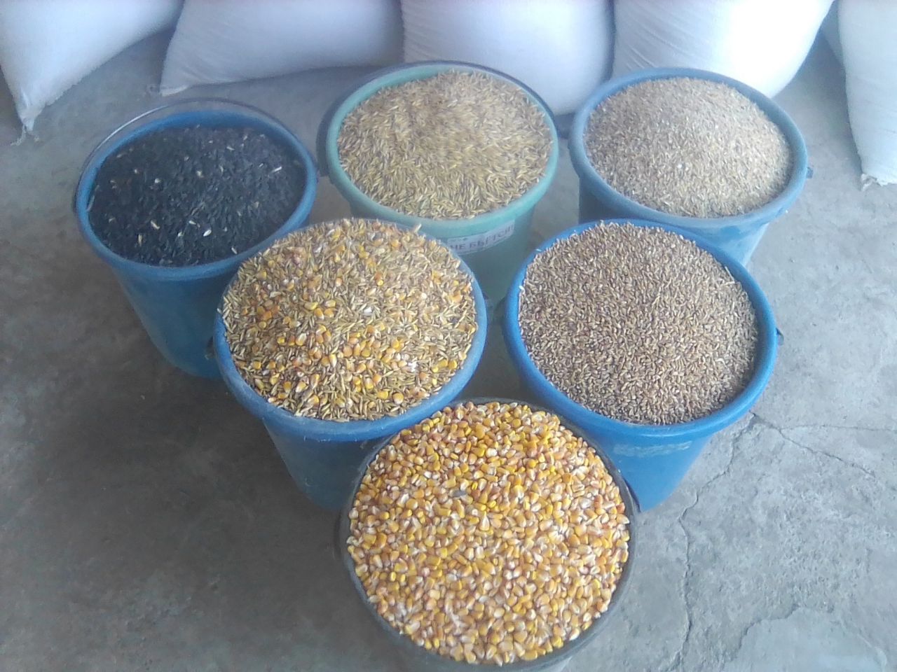 Продажа зерновых культур в мешках - Для дома и дачи в Новоаннинский