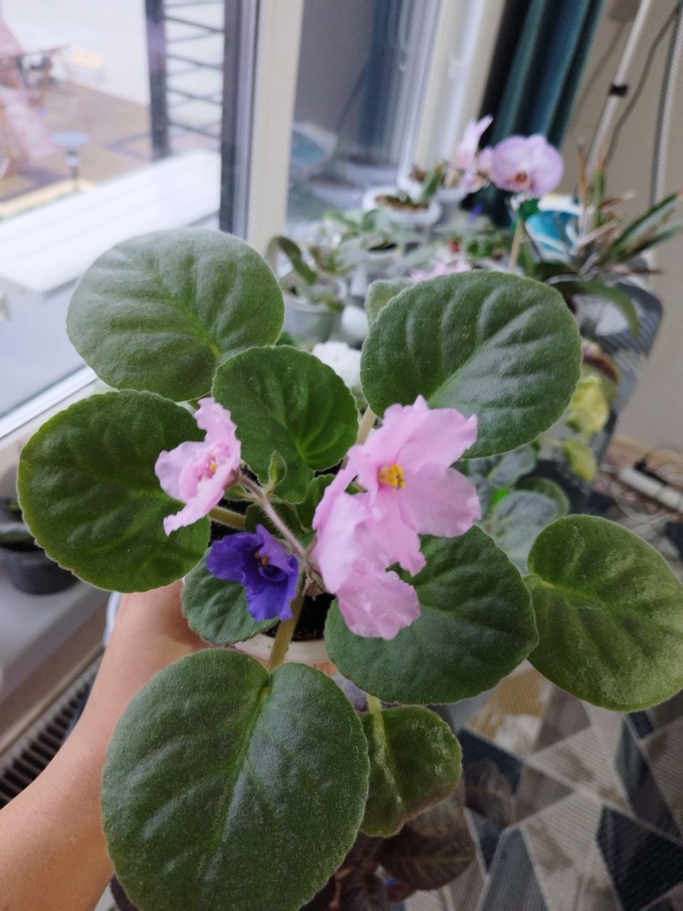 Акварельная 16 - Недвижимость в Воронеж