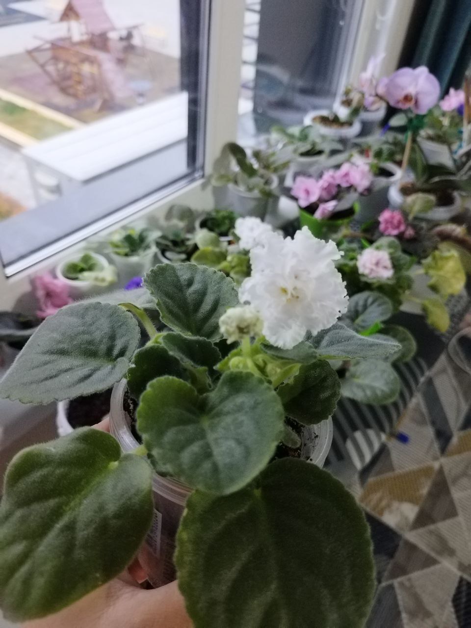 Акварельная 16 - Недвижимость в Воронеж - фото 2