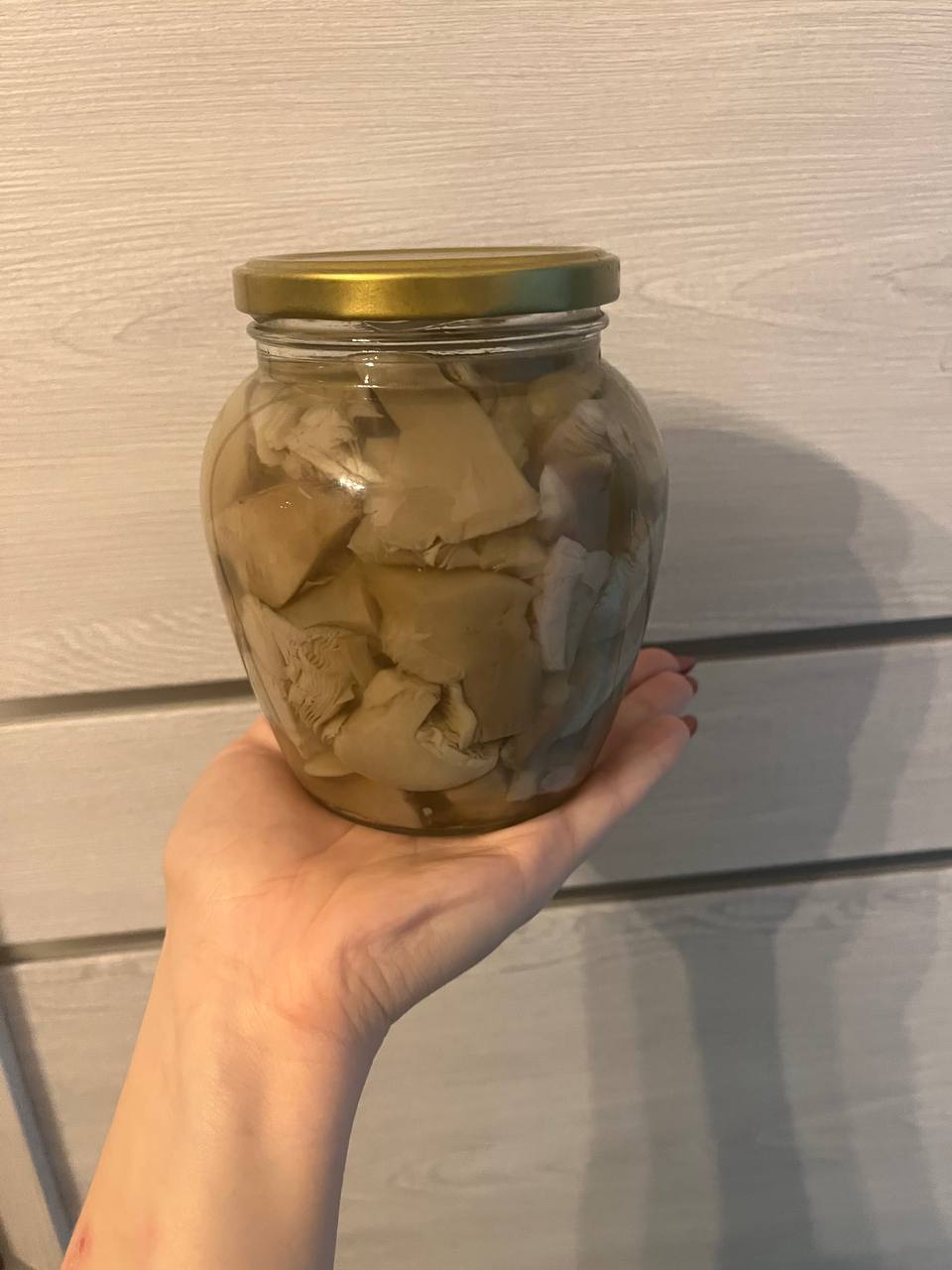 Грибы синяя ножка - Хобби и отдых в Воронеж