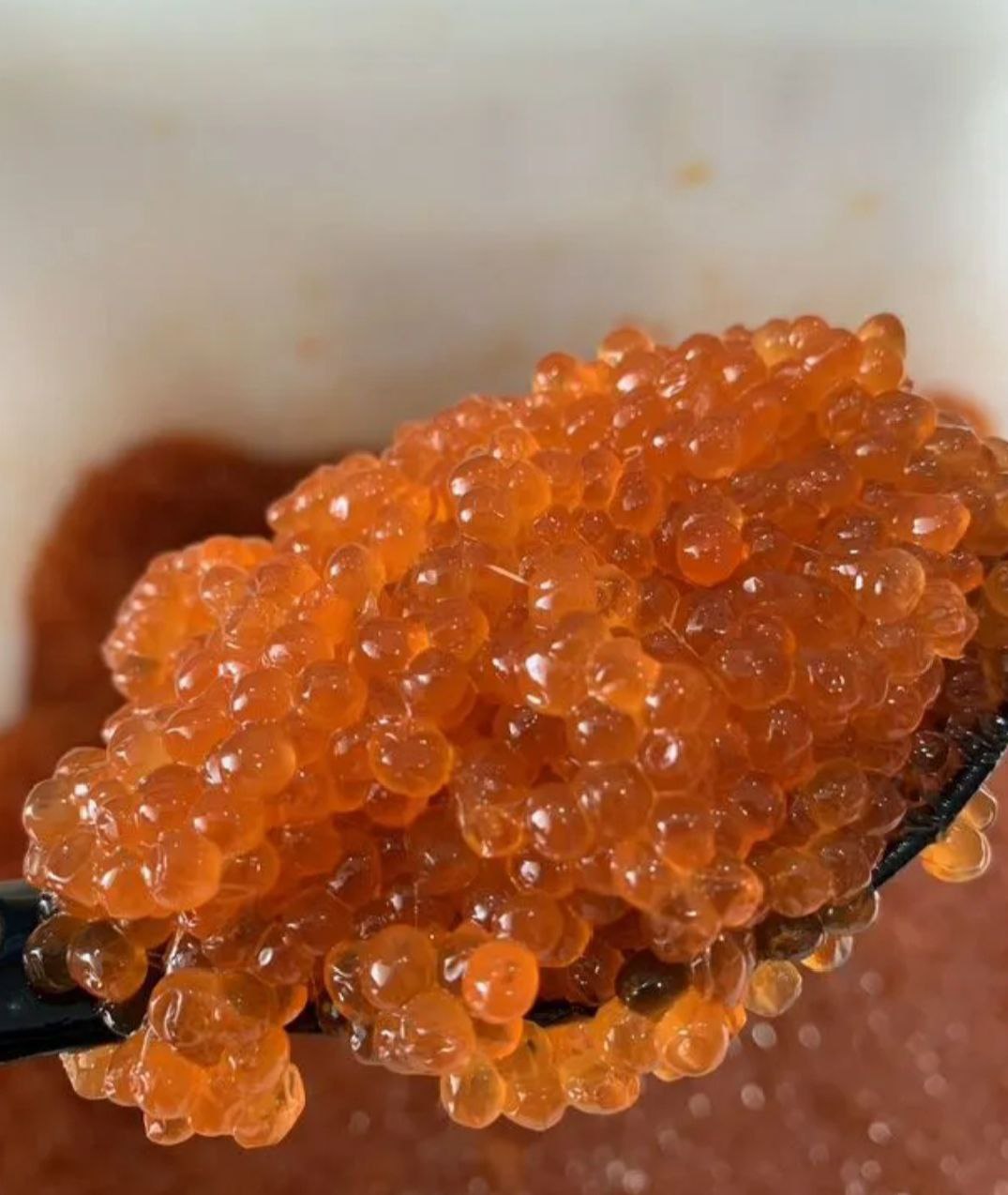 Икра горбуши малосол - частное объявление в Томск