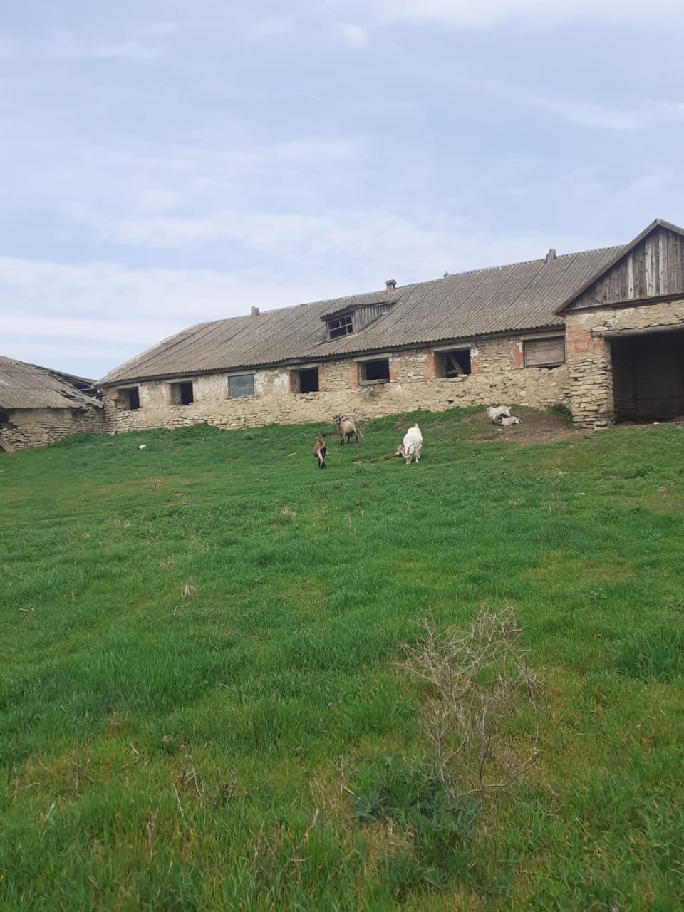 Продажа фермы с двумя корпусами - Недвижимость в Махачкала - фото 3