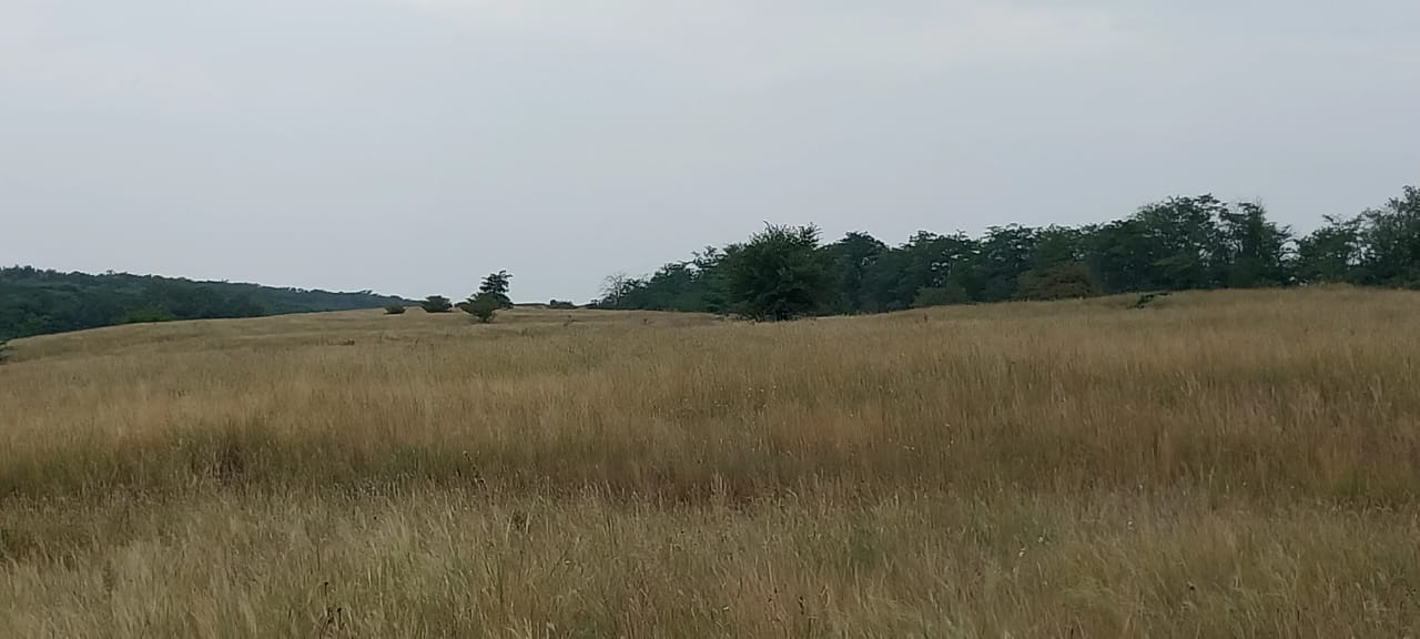 Продажа фермы с двумя корпусами - Недвижимость в Махачкала - фото 6