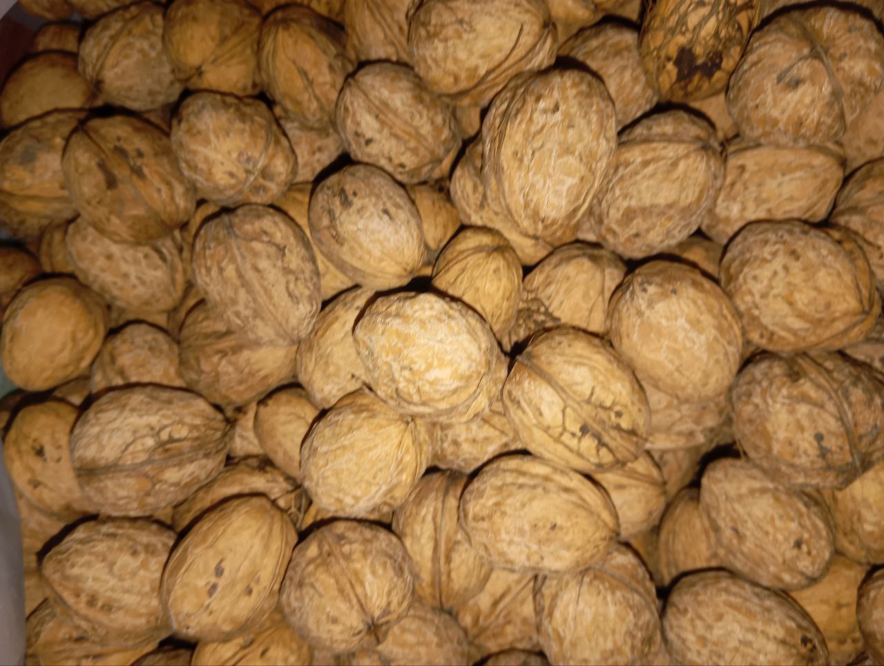 Продам грецкий орех 2025 года - Для дома и дачи в Шахты