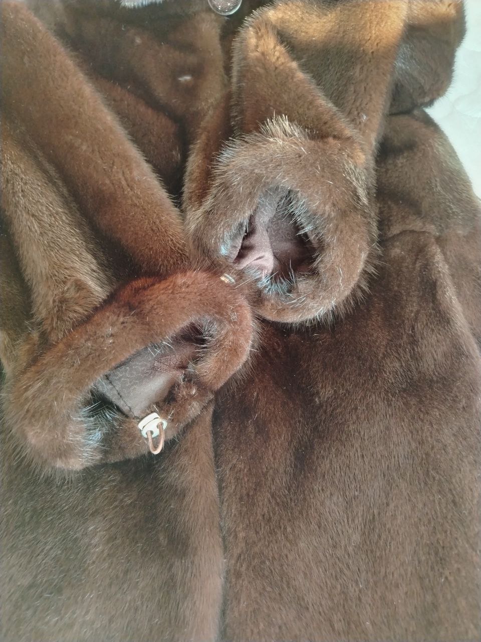 Продам - Услуги в Омск - фото 3