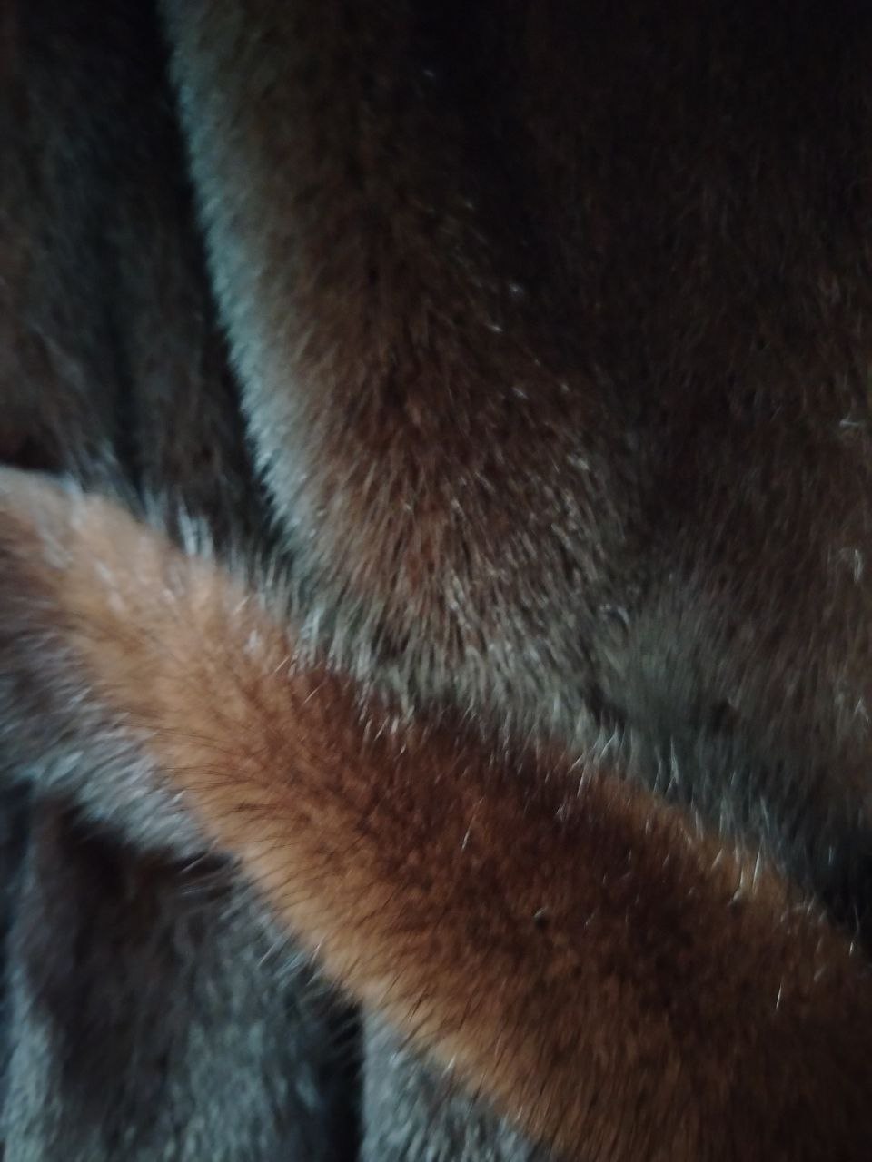 Продам - Услуги в Омск - фото 4