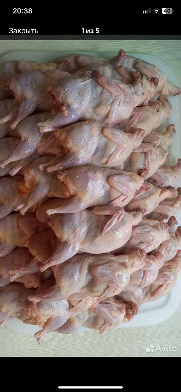 Продукция домашнего производства - Товары для детей в Нальчик - фото 3