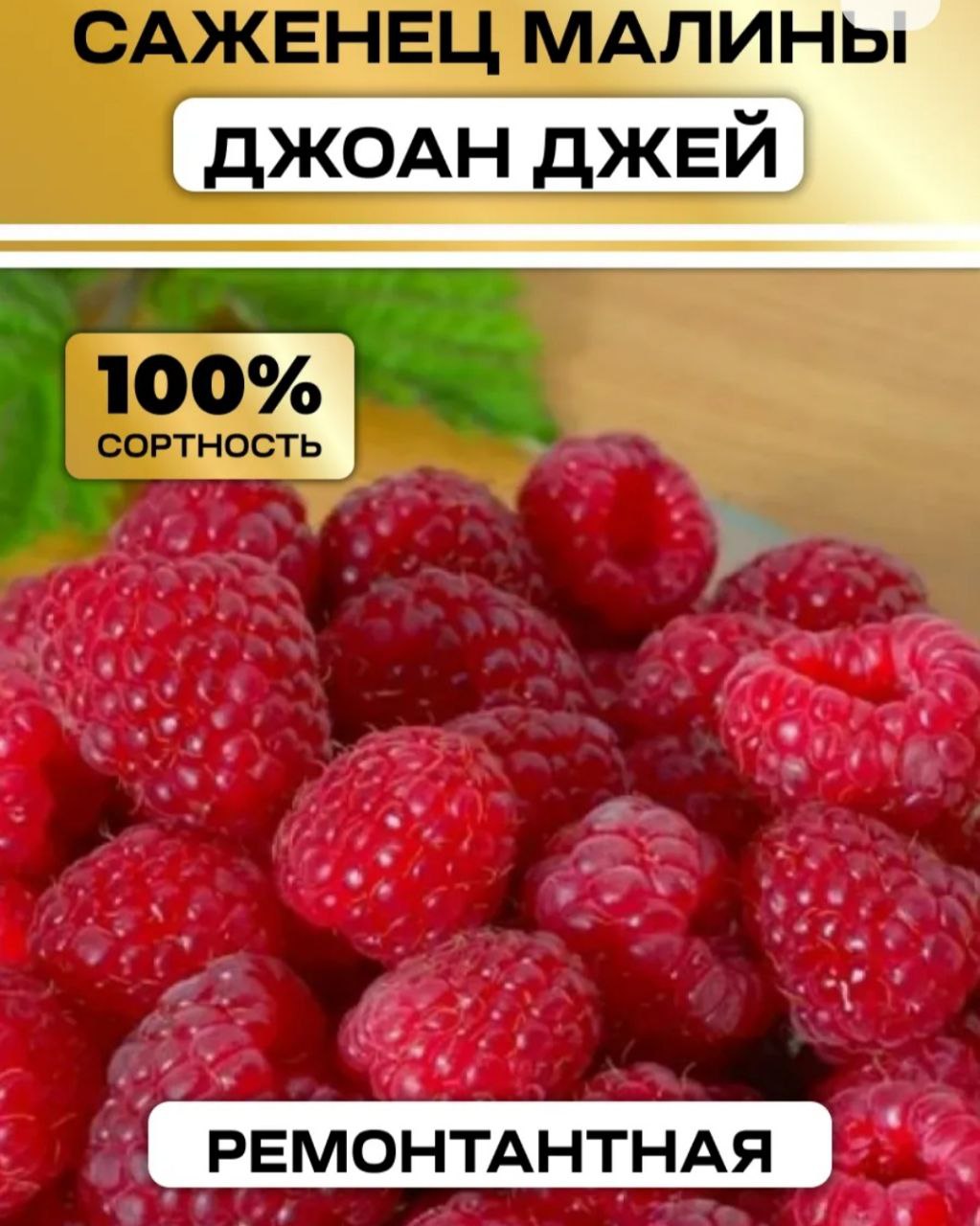Саженцы ремонтантной малины - Хобби и отдых в Белгород