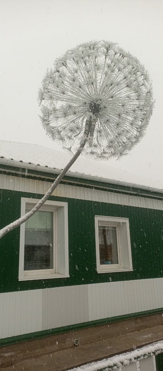 Одуванчики из оцинкованной проволоки ручной работы - частное объявление в Красноярск